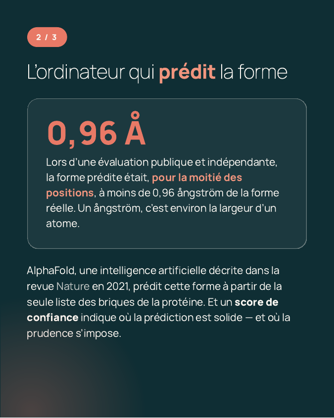 Slide 2 du carrousel : à l’évaluation publique CASP14, la précision médiane est de 0,96 ångström, environ la largeur d’un atome